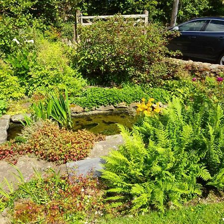 Tabor House B&B Fishguard Luaran gambar