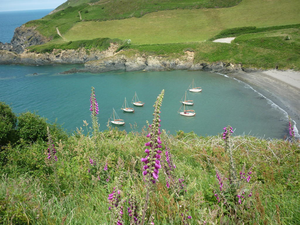 Tabor House B&B Fishguard Luaran gambar