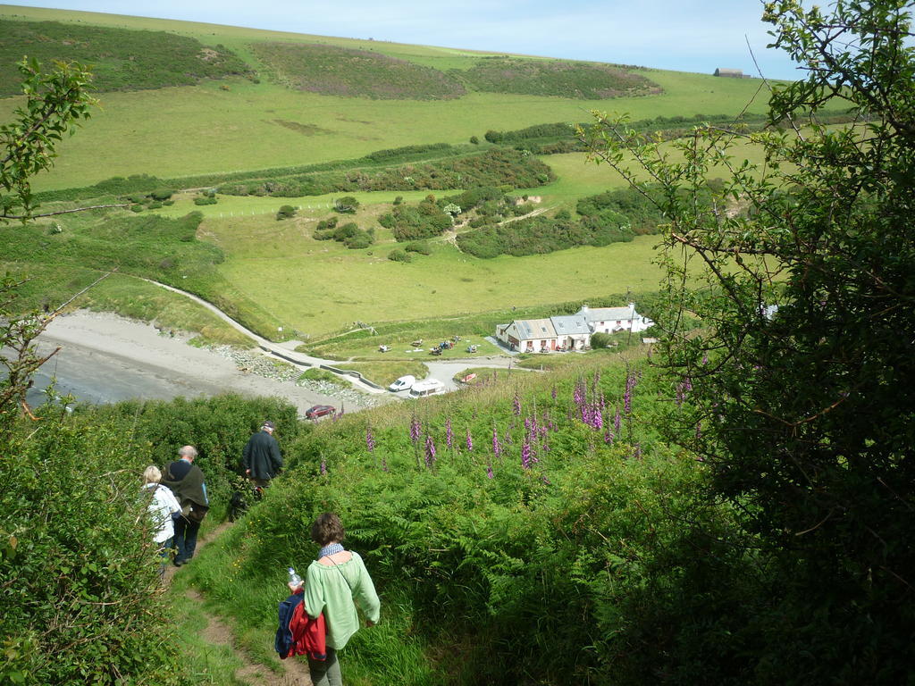 Tabor House B&B Fishguard Luaran gambar