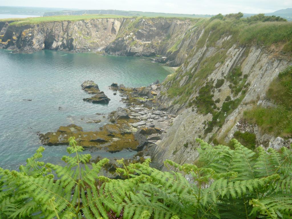 Tabor House B&B Fishguard Luaran gambar