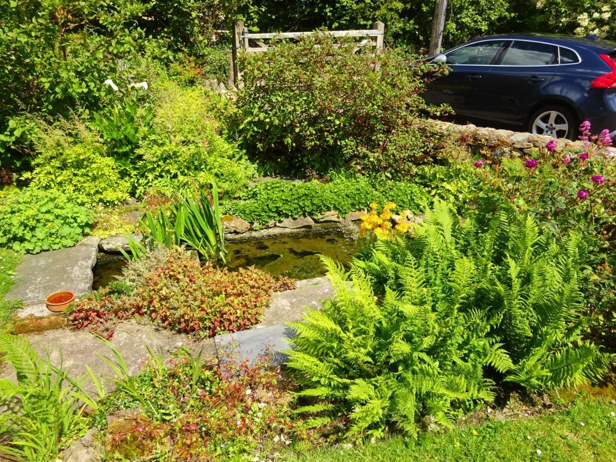 Tabor House B&B Fishguard Luaran gambar